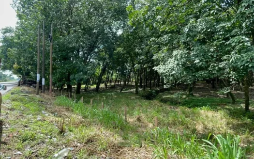 TERRENO COMERCIAL EN VENTA, CA2 KM 117 SUCHITEPรQUEZ